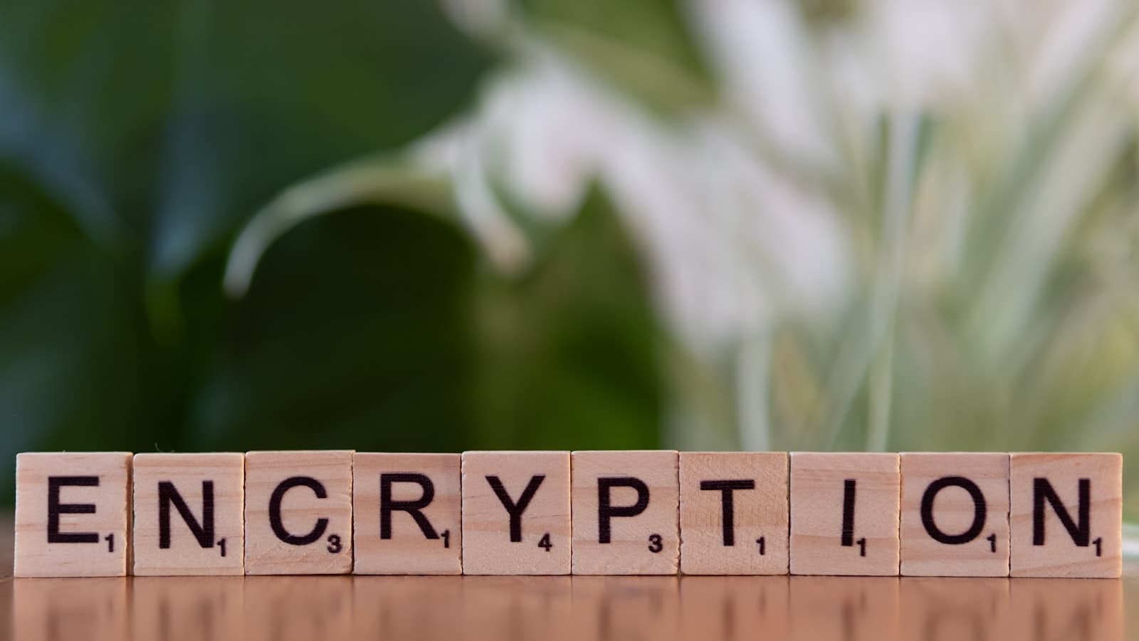 Des lettres en bois posées sur une table formant le mot « cryptage ».